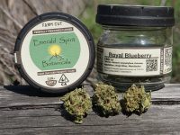 Royal Blueberry Cannabis
