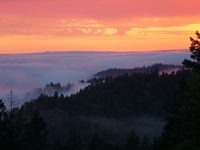 Sunset at Emerald Spirit Botanicals Farm
