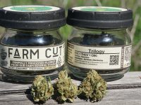 Trilogy – THC/THCV/CBG