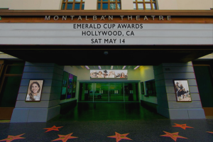 The Road to the Emerald Cup, Hollywood Edition