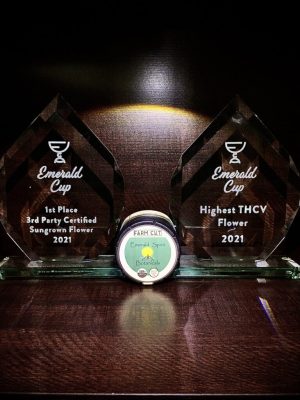 2021 Emerald Cup Winner