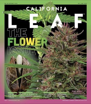 Pink Boost Goddess featured on the cover of California Leaf