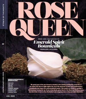 California Leaf - Rose Queen Cultivar of the Month.