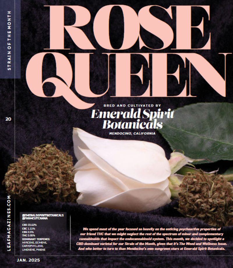 California Leaf - Rose Queen Cultivar of the Month.