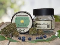 Blueberry Boost - THCV