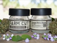 Crystal Berry Boost - THCV