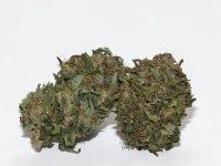 Crystal Berry Boost - THCV