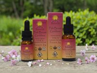 Pink Boost Goddess Tinctures